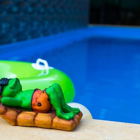 Lazy Frog Guest House Cavelossim Bagian luar foto